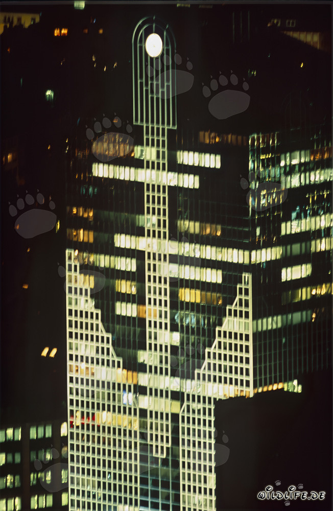 Skyline fascinante de Francfort de nuit