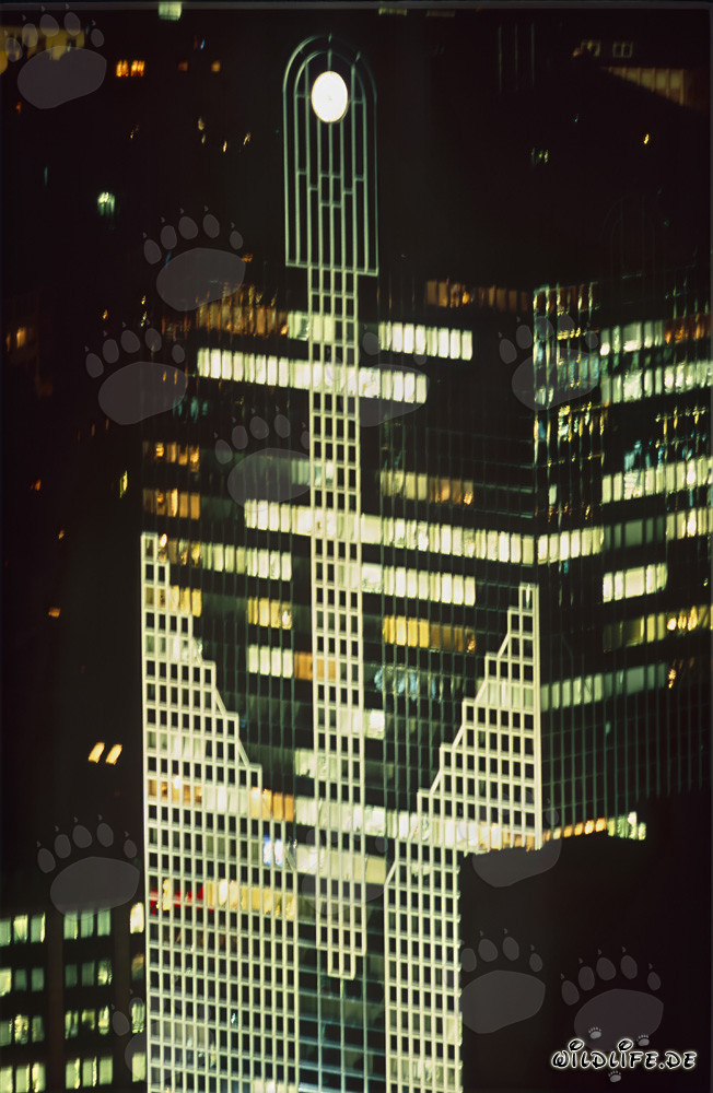 Faszinierende Skyline von Frankfurt bei Nacht