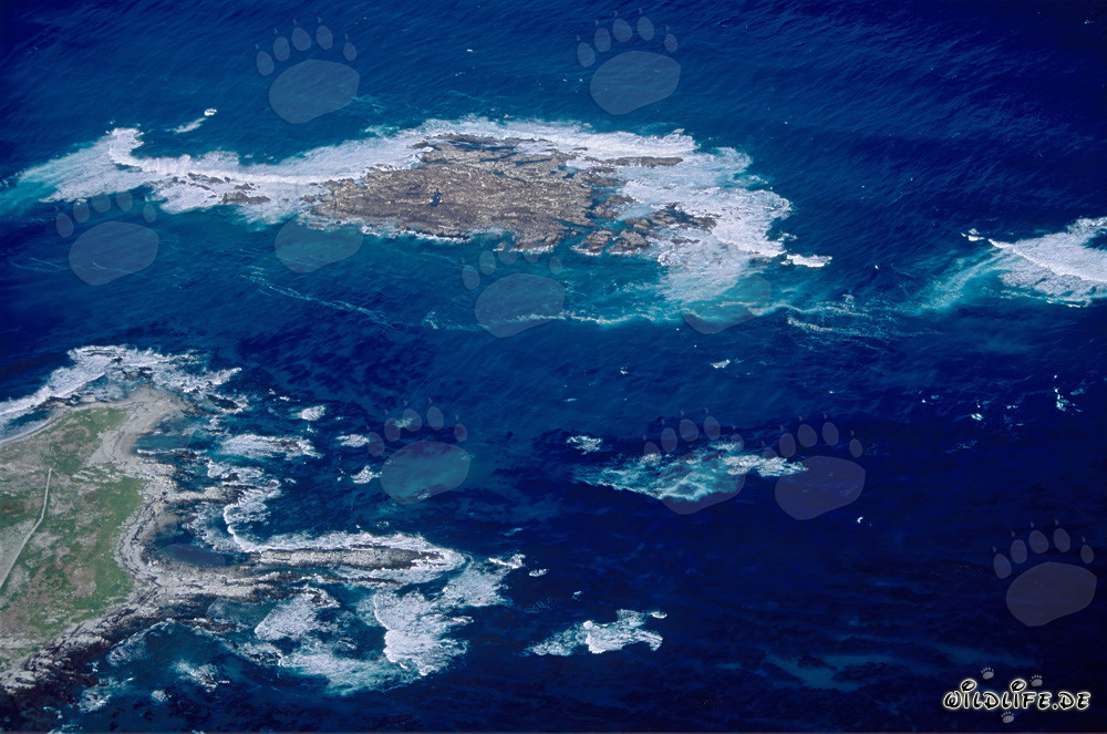 Aerial View of Dyer Island, Shark Alley, and Geyser Rock in South Africa