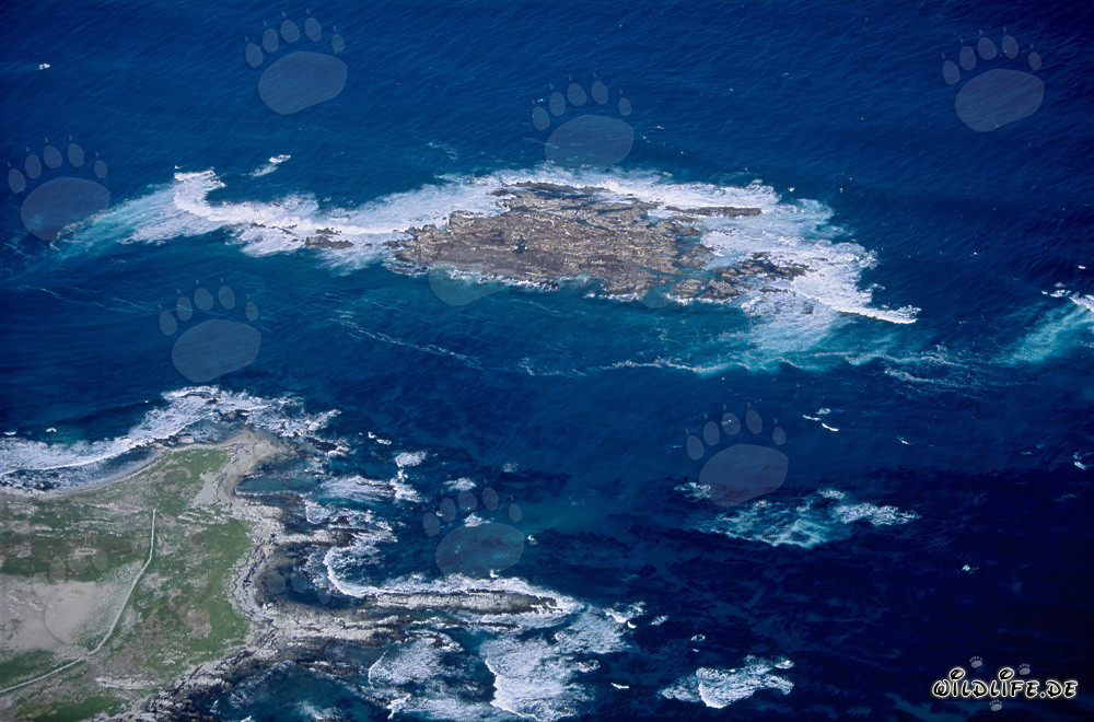 Foto aérea de la Isla Dyer, Shark Alley y Geyser Rock en Sudáfrica