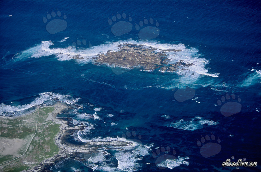 Foto aerea dell'Isola Dyer, Shark Alley e Geyser Rock in Sudafrica