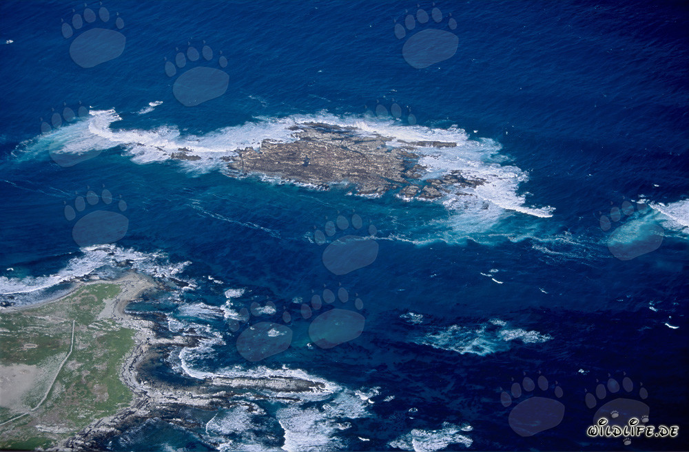 Vista aérea de la Isla Dyer, Shark Alley y Geyser Rock en Sudáfrica