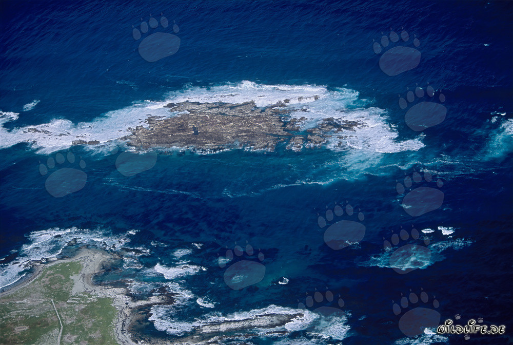 Vista aérea de Dyer Island, Shark Alley y Geyser Rock en Sudáfrica