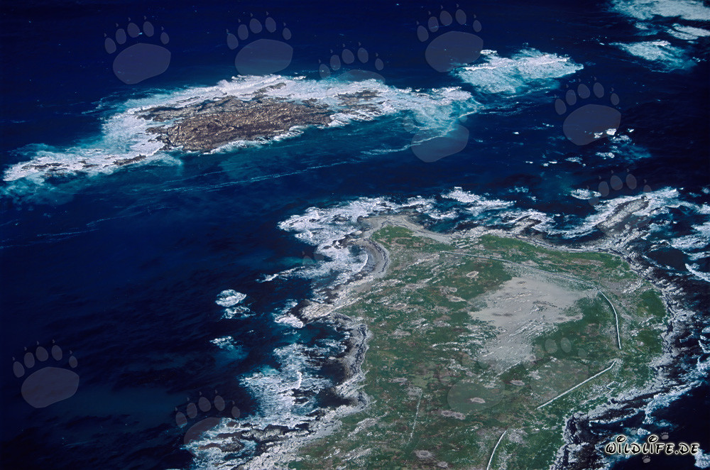 Aerial view of Dyer Island, Shark Alley and Geyser Rock in South Africa