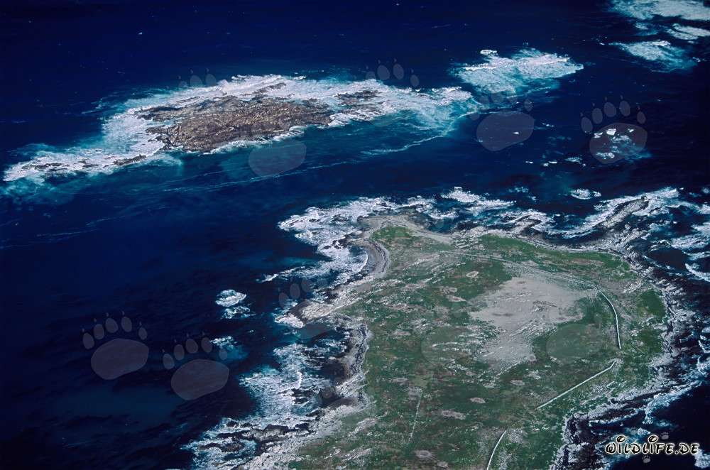 Veduta aerea dell'isola Dyer, Shark Alley e Geyser Rock in Sudafrica