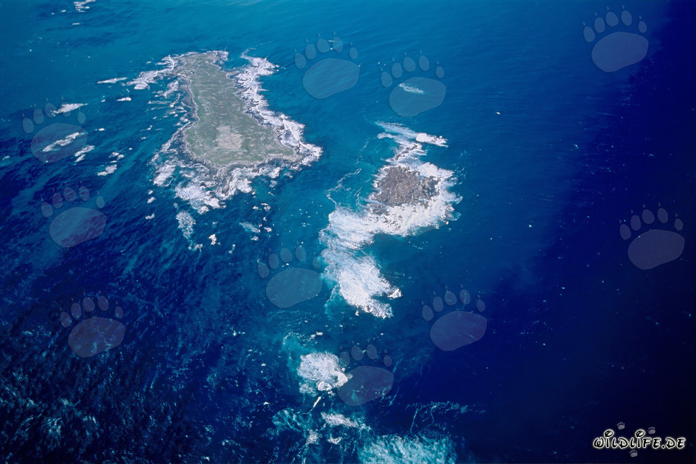 Aerial view of Dyer Island, Shark Alley, and Geyser Rock in South Africa