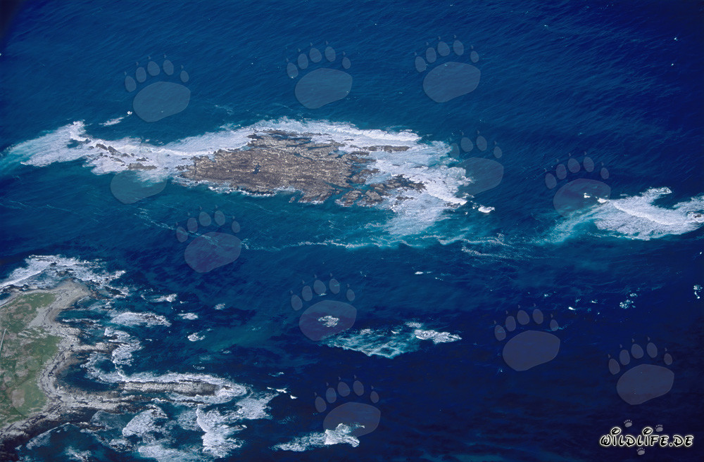 Vista aérea de la impresionante Isla Dyer, Shark Alley y Geyser Rock en Sudáfrica