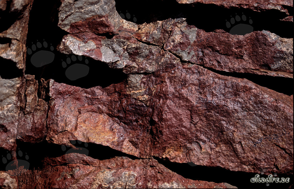 Vibrant rock formations inhabited by Cape Cobras in South Africa