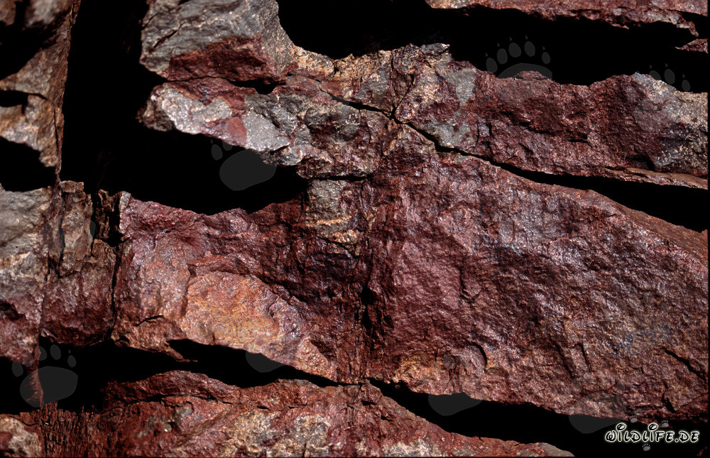 Paesaggio roccioso vivace con cobre del Capo in Sudafrica