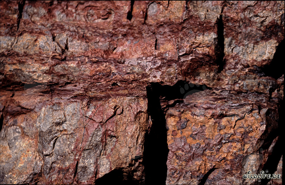 Colored Rocks: Home of Cape Cobras