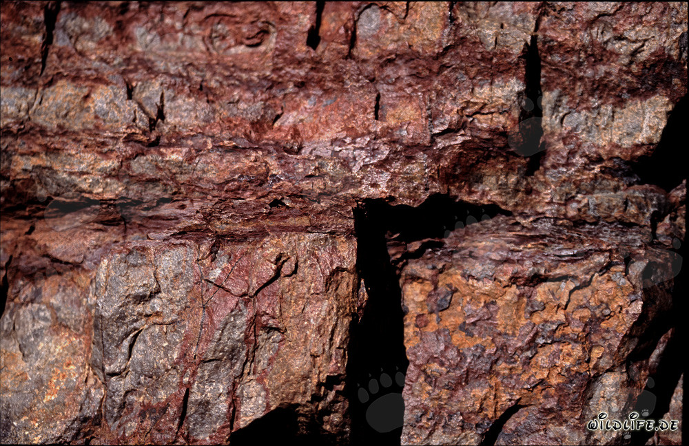Rocce colorate: Casa dei cobra del Capo