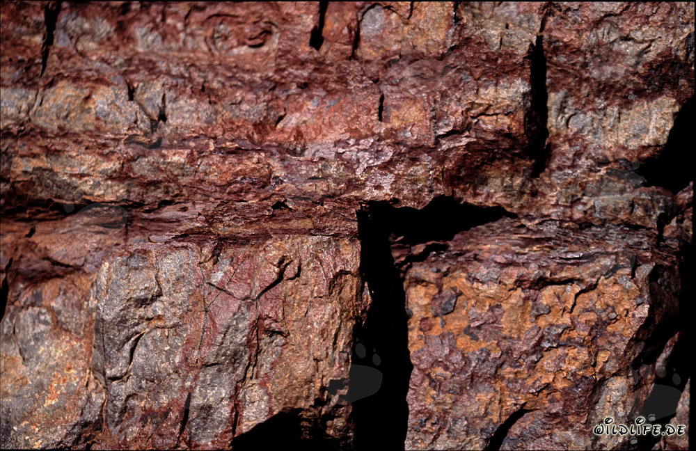 Rochers colorés : Maison des cobras du Cap