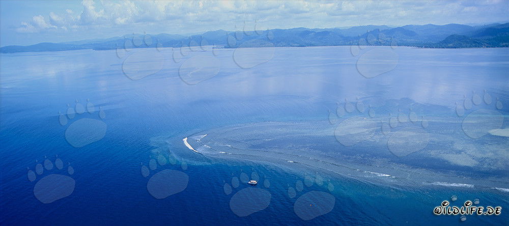 Aerial view Shark Reef in South Pacific