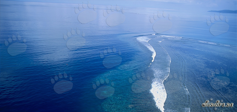 Aerial View of Shark Reef in Beqa Lagoon, Fiji