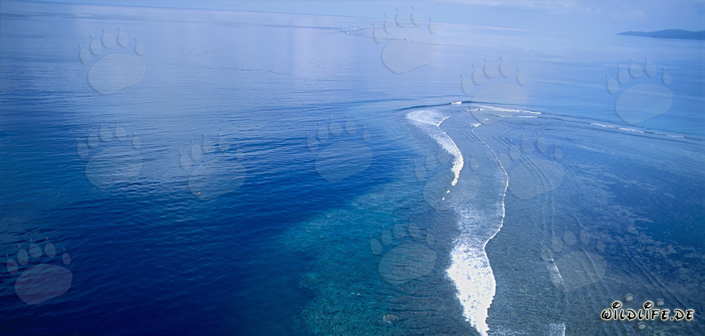 Vista aérea del Shark Reef en el lago de Beqa, Fiji
