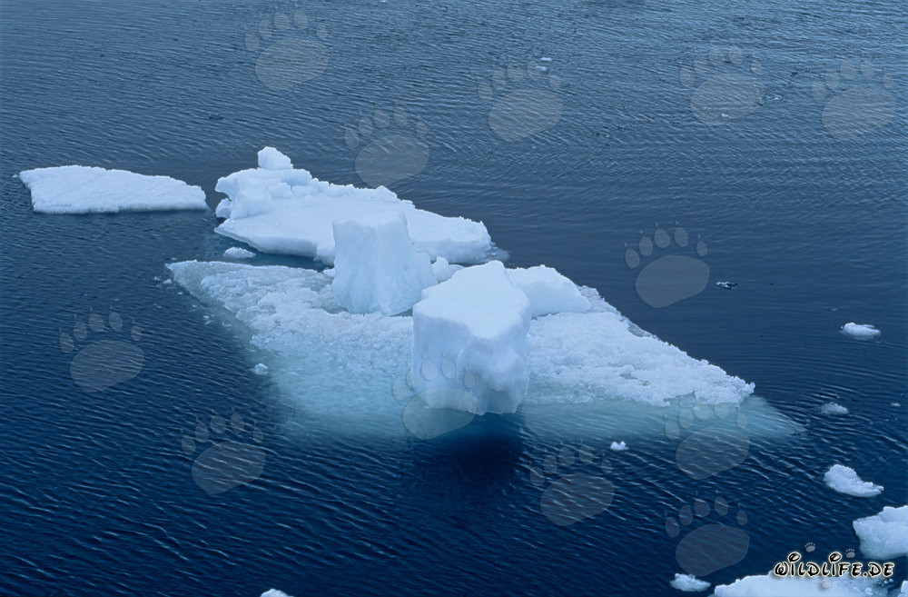 Ice Floe at Cape Anne
