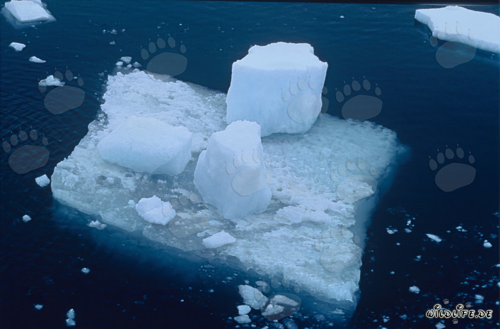 Iceberg pintoresco en el Cabo Anne