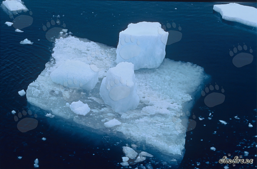Iceberg pittoresco al Capo Anne