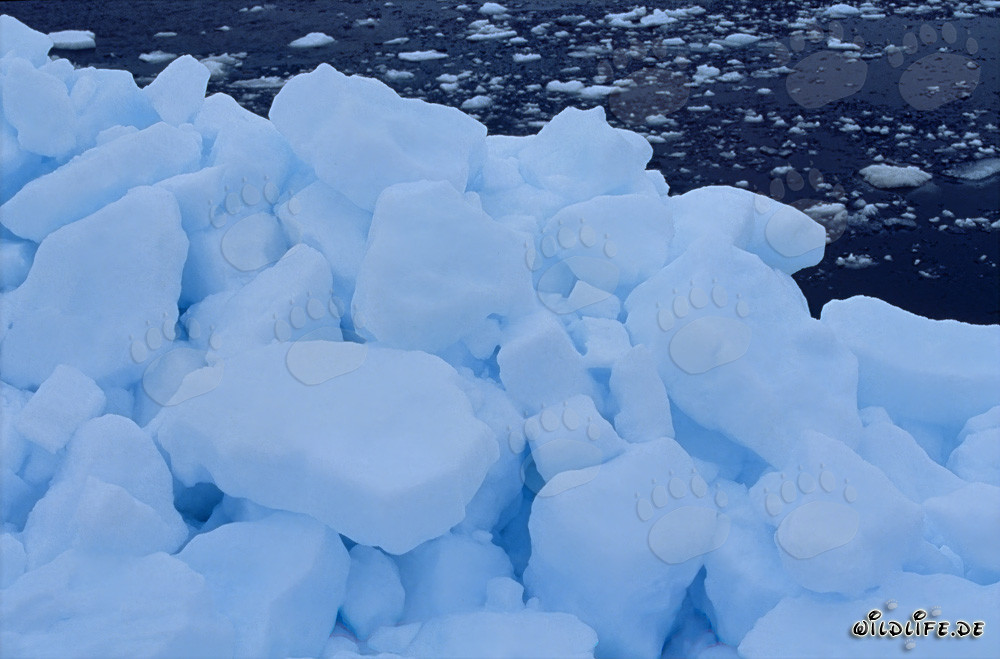 Picturesque Arctic Pack Ice Landscape in Cape Anne, Nunavut, Canada
