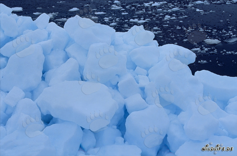 Malerische arktische Packeislandschaft in Cape Anne, Nunavut, Kanada
