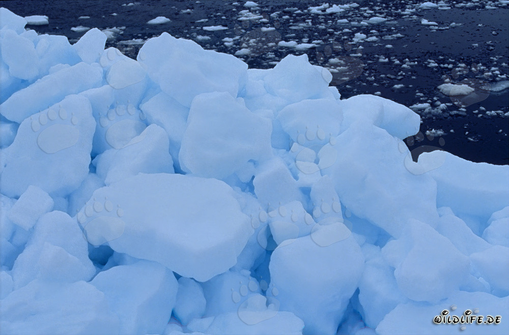 Paisaje pintoresco de banquisa ártica en Cape Anne, Nunavut, Canadá