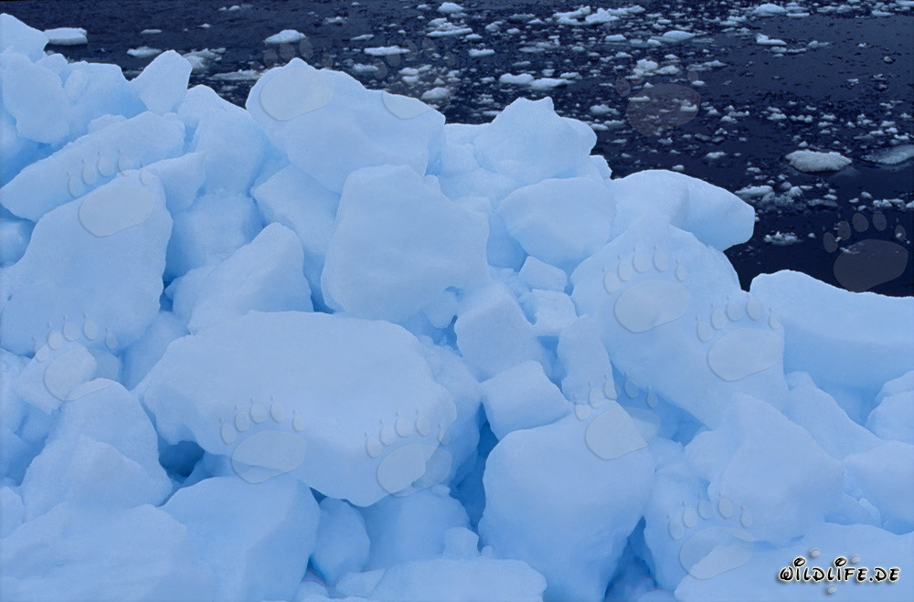 Paysage de banquise arctique pittoresque à Cape Anne, Nunavut, Canada