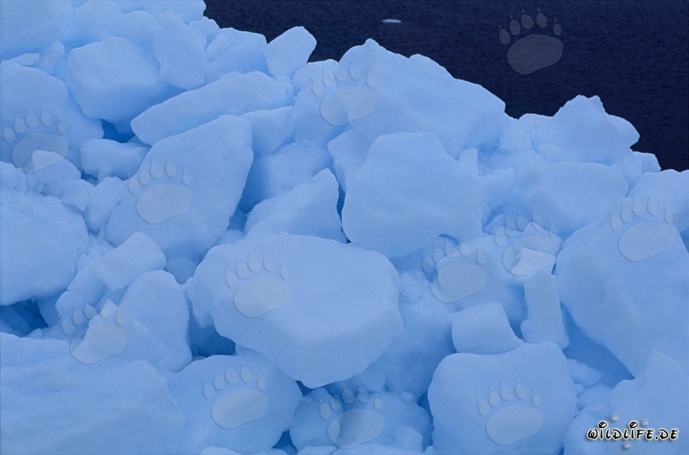 Ghiaccio marino artico sulla costa di Cape Anne, Nunavut, Canada