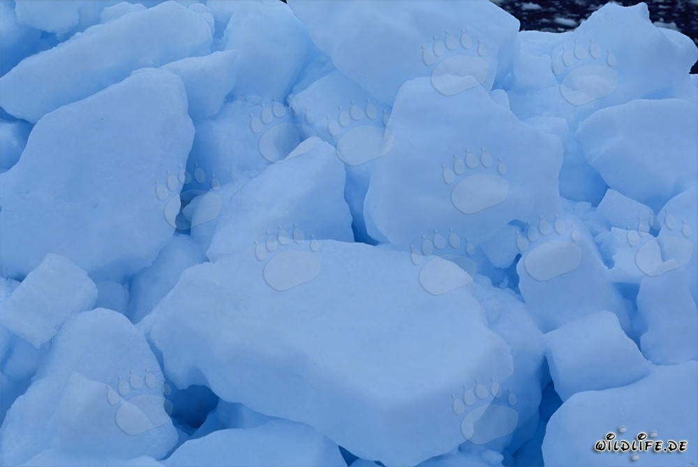 Paisaggio polare pittoresco a Capo Anne, Nunavut, Canada