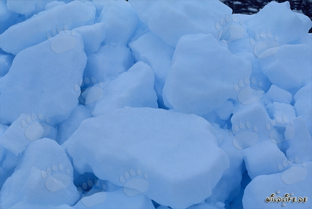 Picturesque polar ice landscape in Cape Anne, Nunavut, Canada