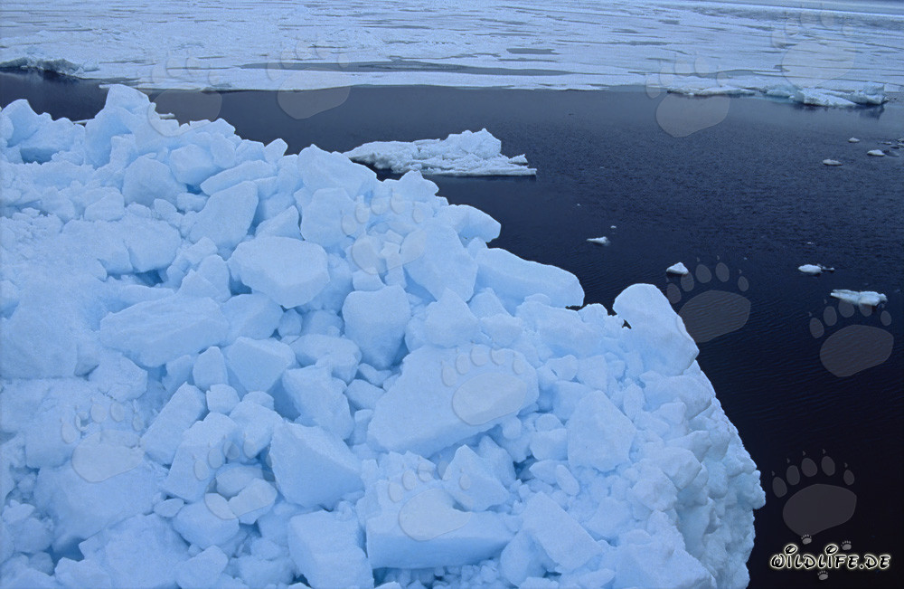 Mystical pack ice landscape at Cape Anne in Canada