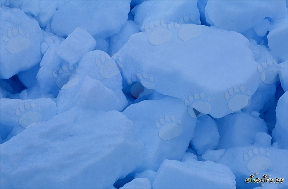Arctic pack ice off Cape Anne in Canada