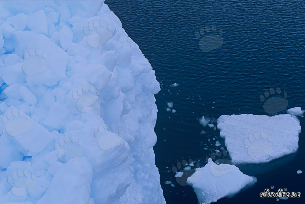 Majestic pack ice at Cape Anne in Canada