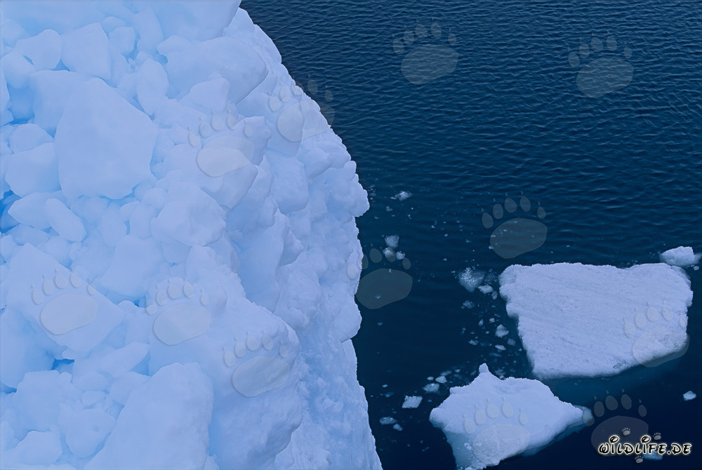 Pack de glace majestueux au Cap Anne au Canada