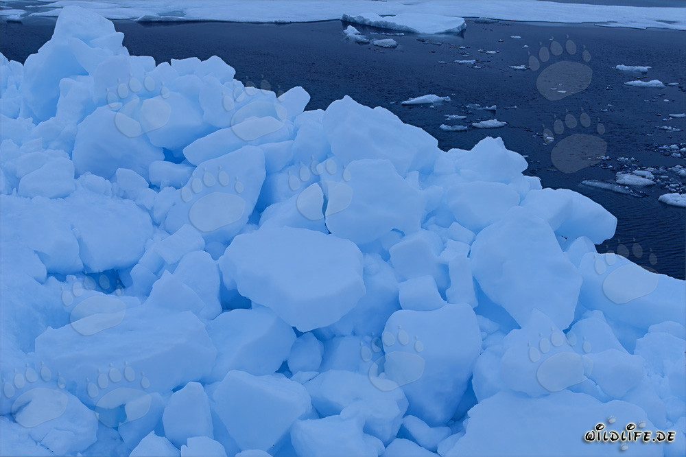 Picturesque pack ice on the coast of Cape Anne, Canada
