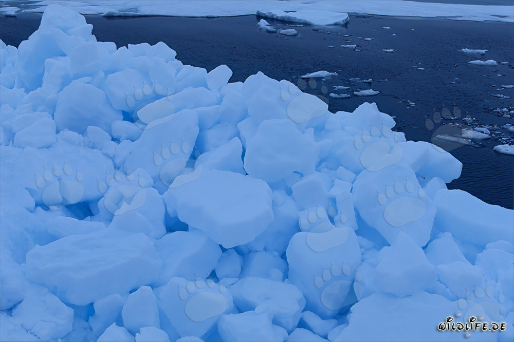 Malerisches Packeis an der Küste von Cape Anne, Kanada