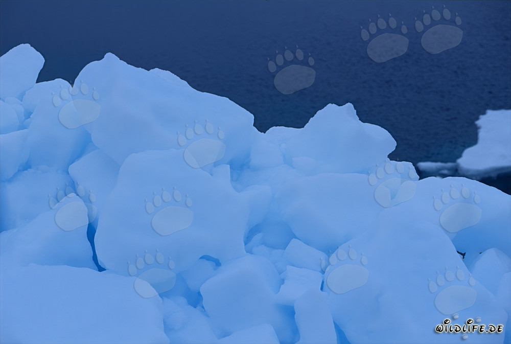 La fascinante glace de mer au cap Anne au Canada