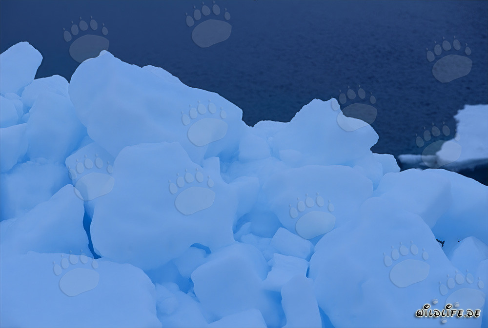 Fascinating Sea Ice at Cape Anne in Canada