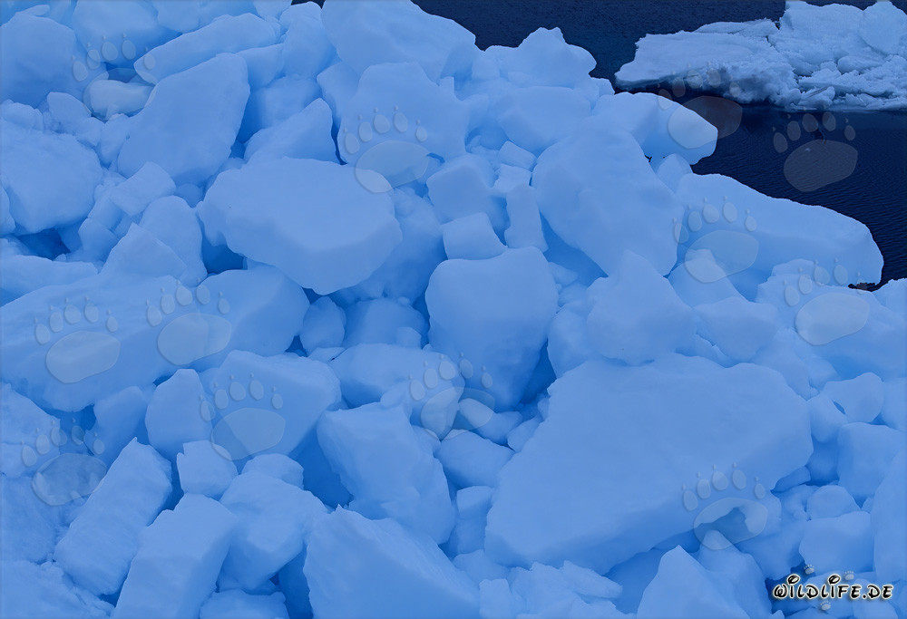 Bizarre pack ice landscape at Cape Anne in the Arctic