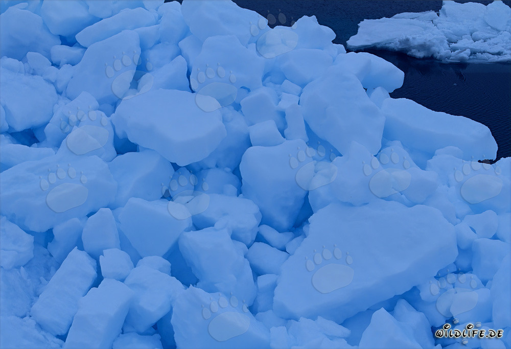 Paysage de banquise étrange au Cap Anne dans l'Arctique