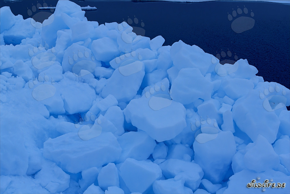 Paysage de glace bizarre sur la rive du cap Anne, Nunavut, Canada