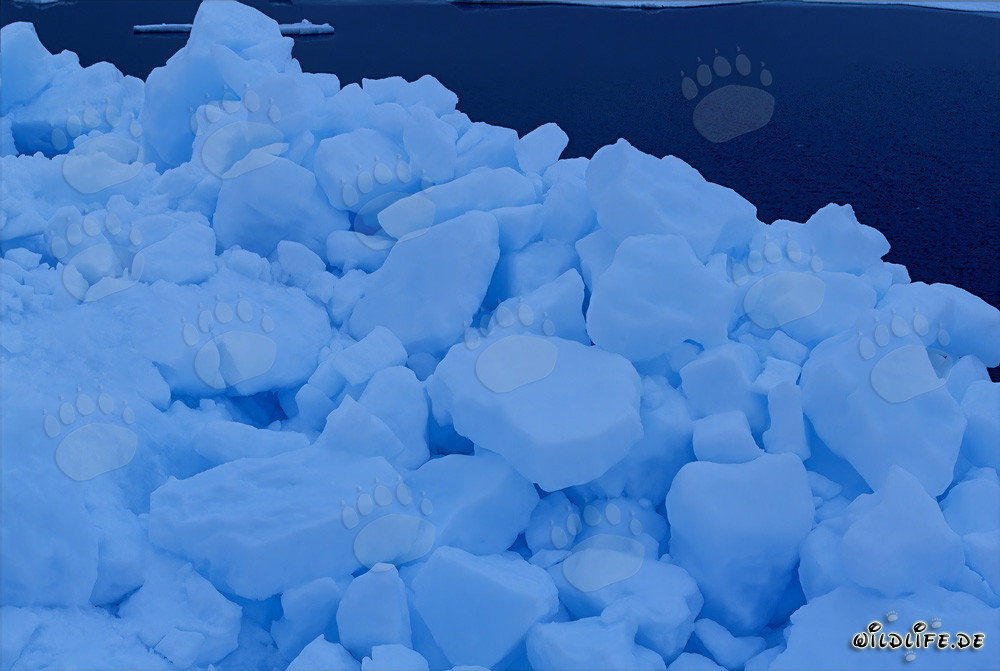 Bizarre ice landscape on the shore of Cape Anne, Nunavut, Canada