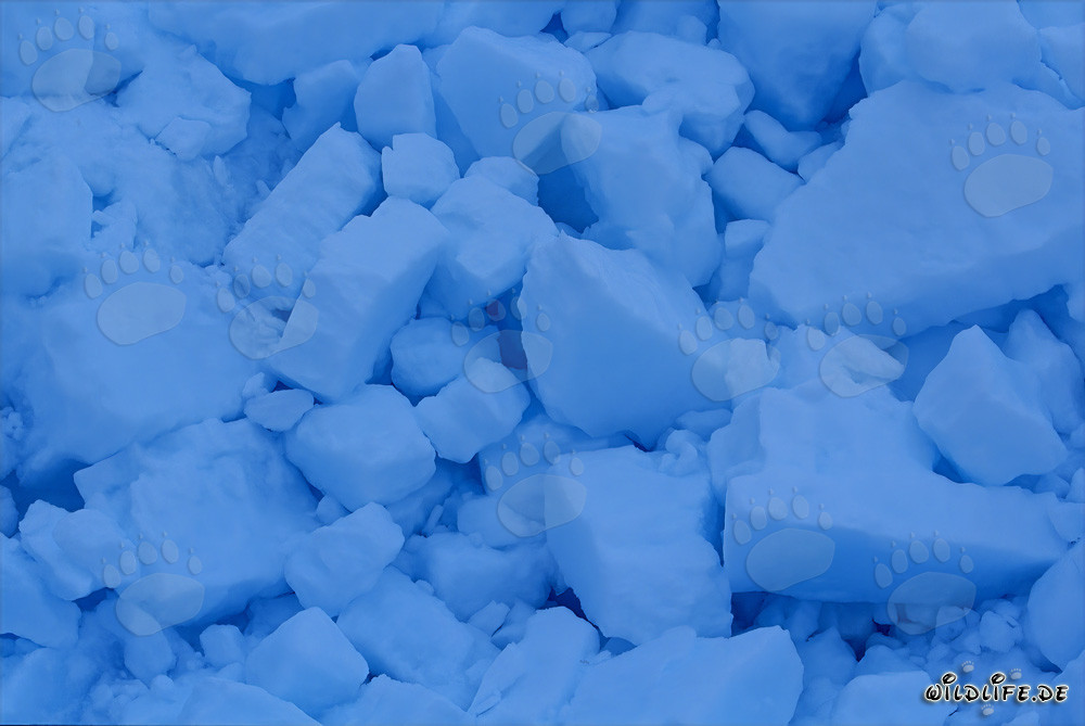Paesaggio glaciale maestoso a Cape Anne in Canada