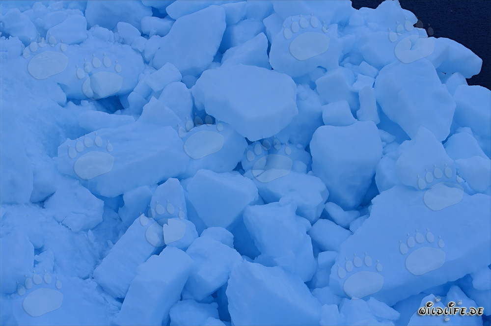 Bizarre ice landscape at Cape Anne in Canada