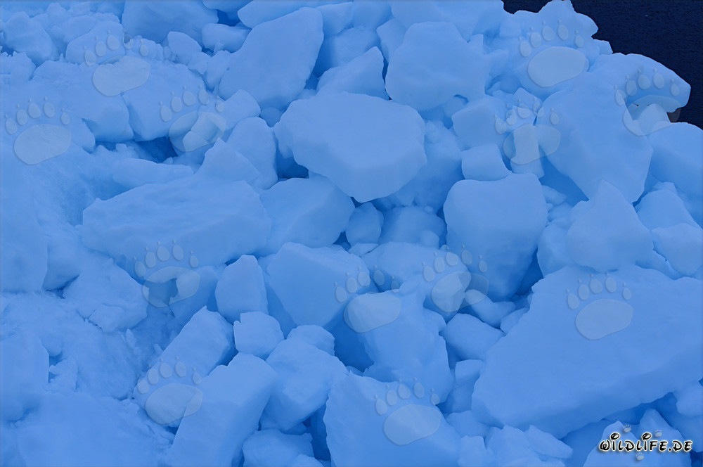 Paisaje de hielo extraño en el Cabo Anne en Canadá