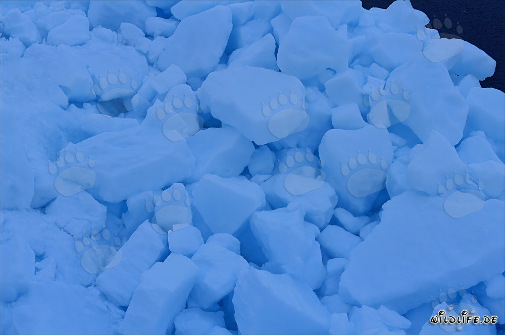 Paysage de glace bizarre au Cap Anne au Canada