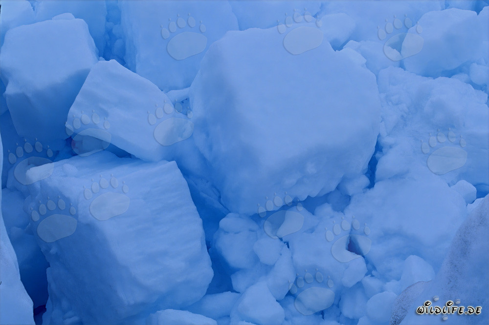 Fascinating pack ice at Cape Anne in Canada