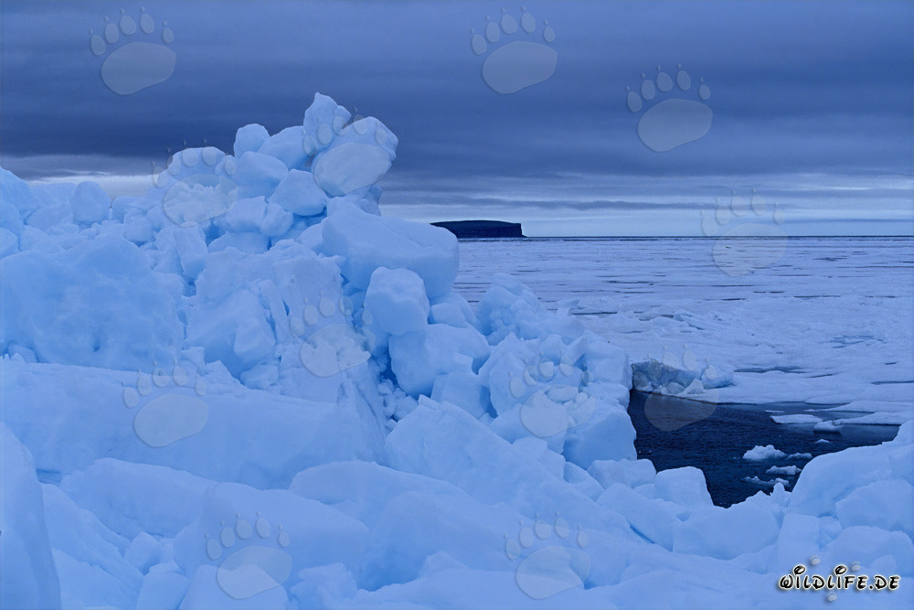 Majestic Arctic Ice Pack in Cape Anne, Nunavut, Canada