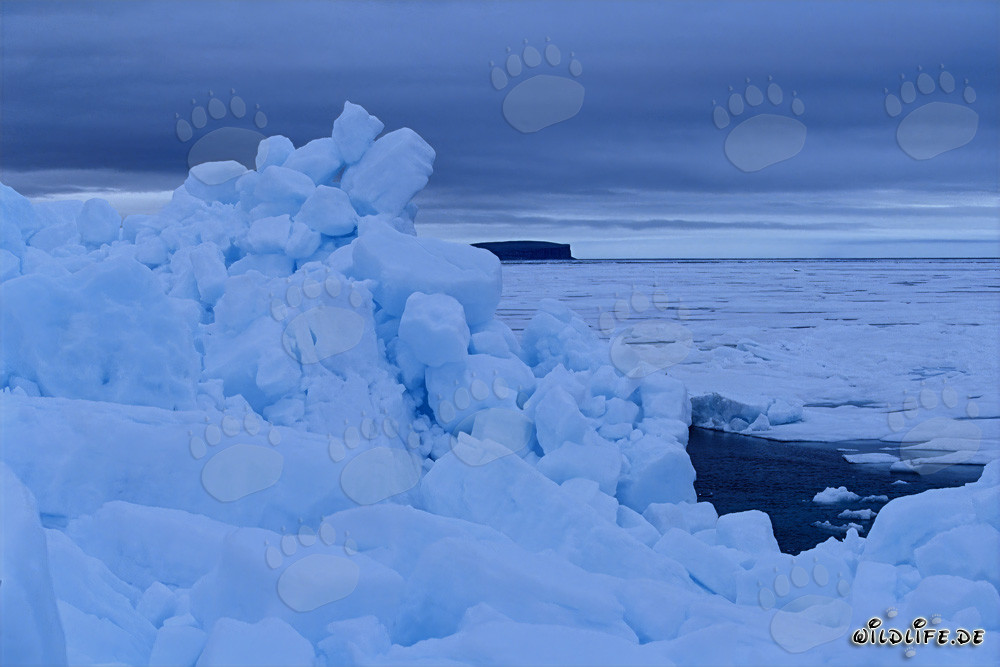 Pack de glace arctique majestueux à Cape Anne, Nunavut, Canada