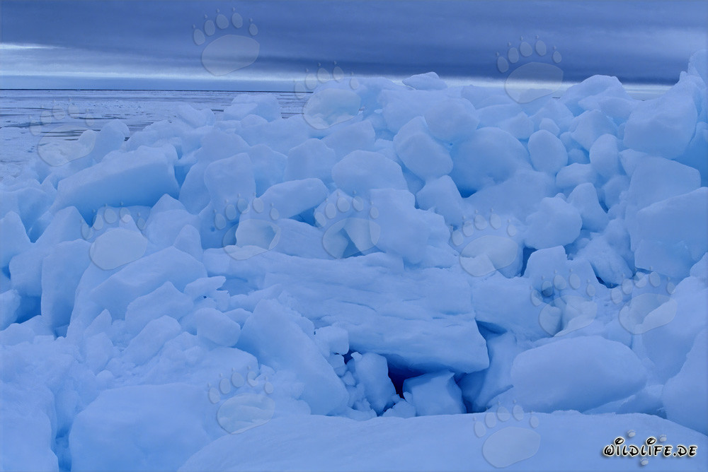 Pack ice landscape at Cape Anne in Canada