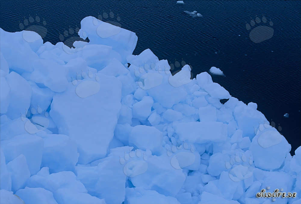 Paysage de glace majestueux dans la mer arctique